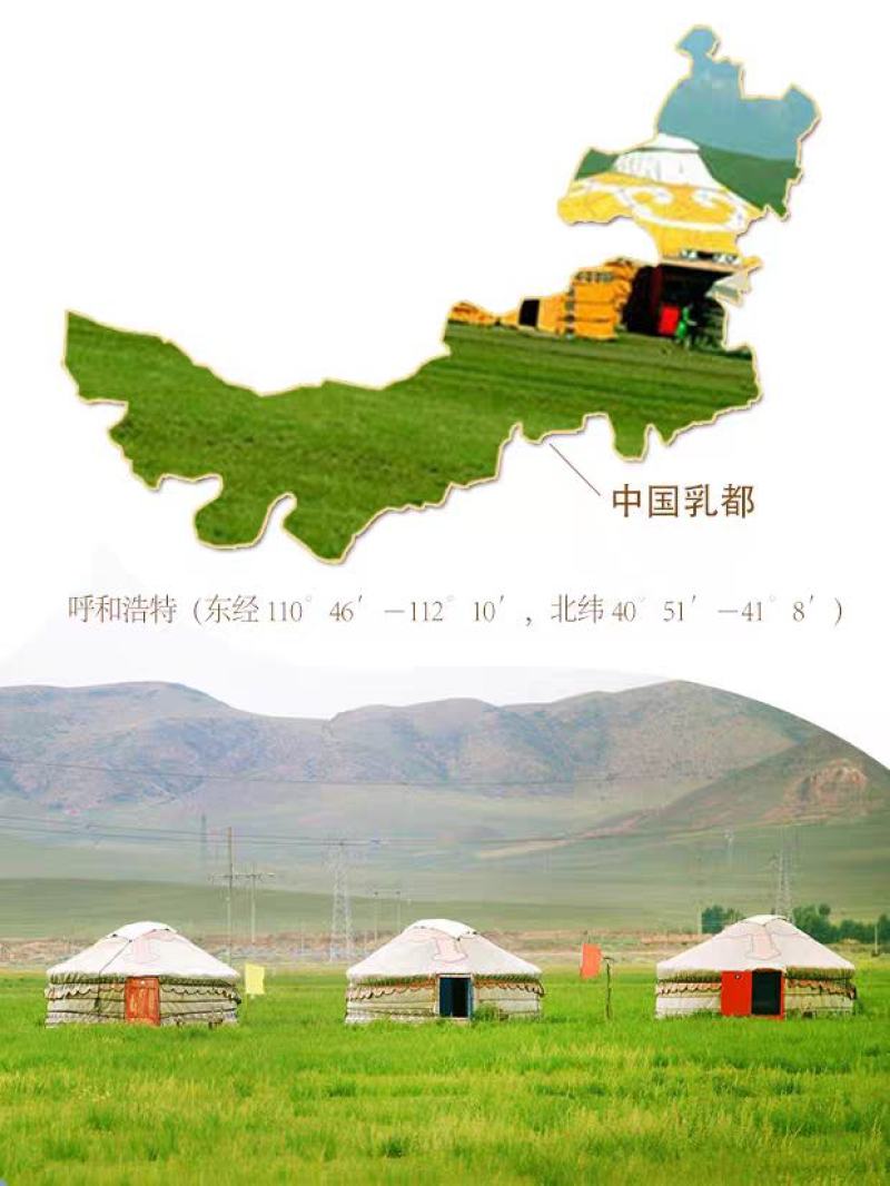 成格乐奶酪棒内蒙特产益生元奶片儿童宝宝含钙休闲零食