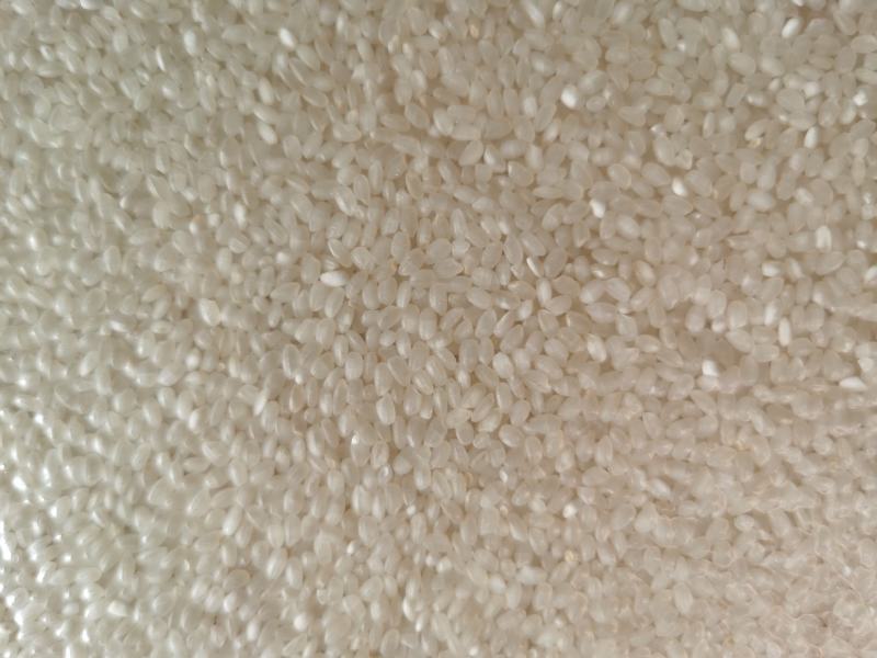 大量供应江苏南梗大米，质量非常好，欢迎咨询合作