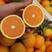湖北秭归伦晚果冻橙，甜蜜春橙甜蜜爆汁一件代发助农全年供应