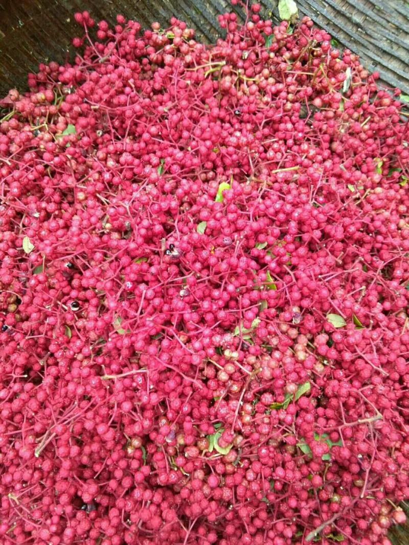 花椒大红袍花椒