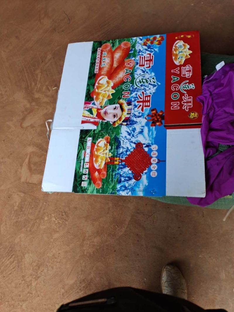 云南丘北无公害优质清甜高山雪莲果