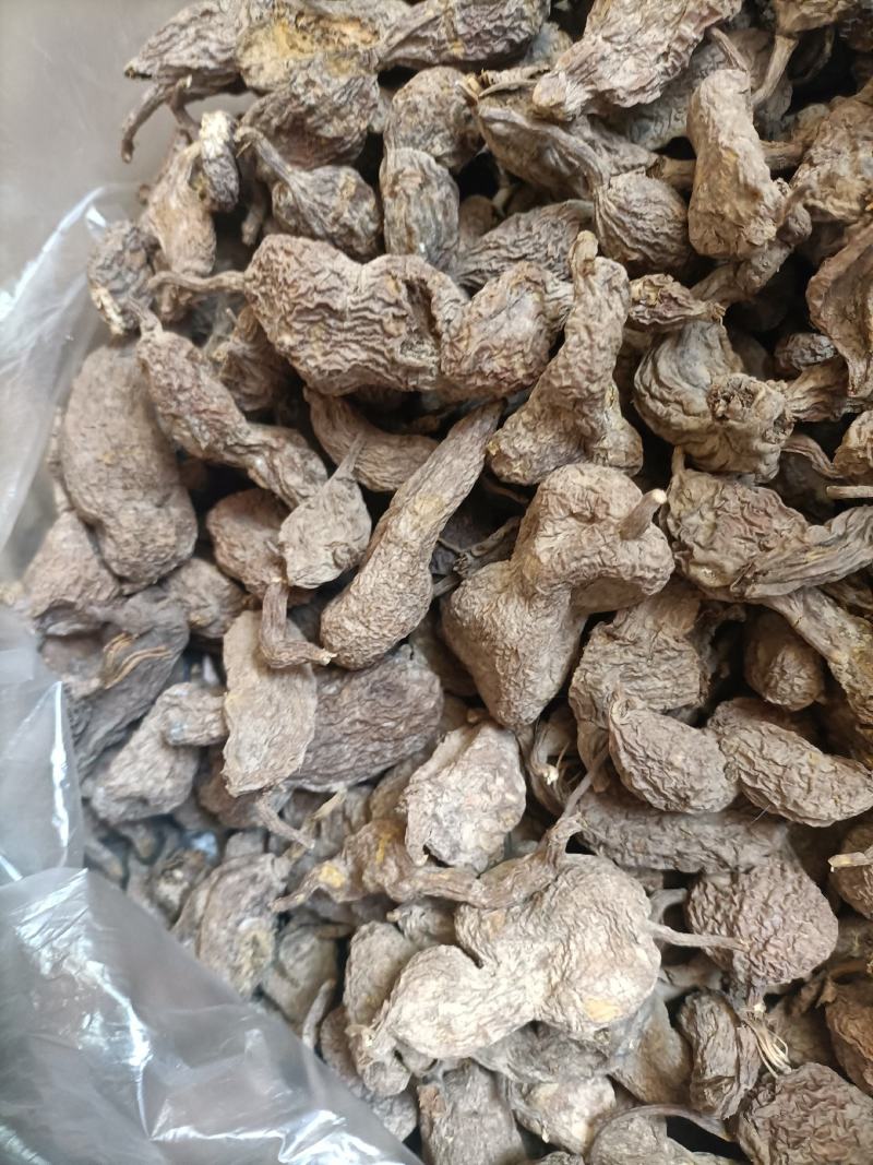 中药材地苦胆野生又名金果览现货出售