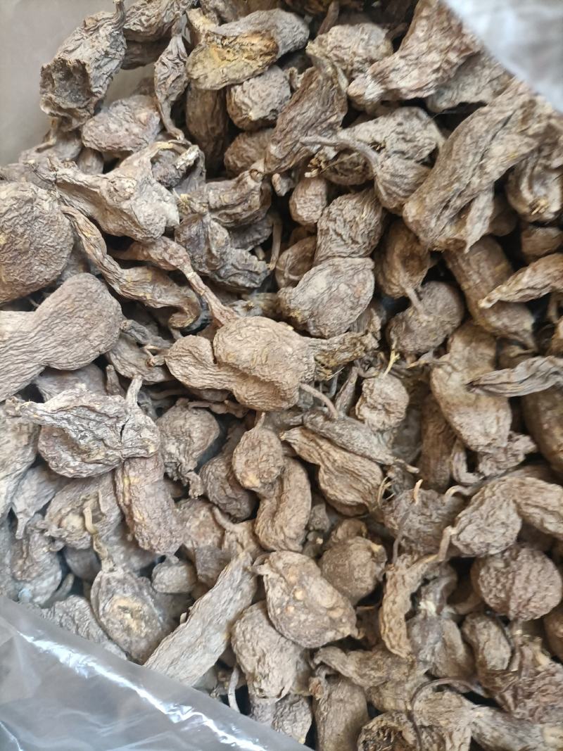 中药材地苦胆野生又名金果览现货出售