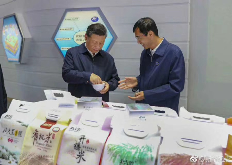 2024东北稻谷绥粳18无沙无杂自助碾米机专用