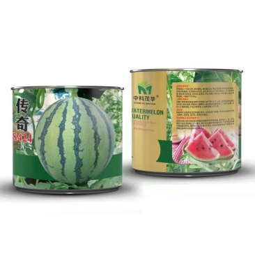 传奇8424西瓜种子，正宗8424，超甜麒麟，糖度13