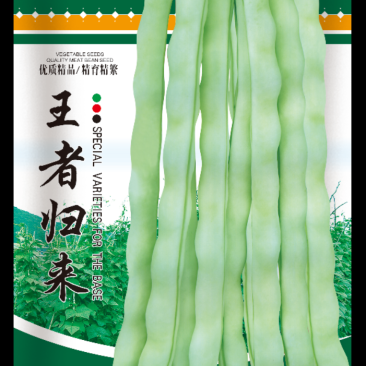 精品豆角种子，敬请关注