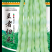 精品豆角种子，敬请关注