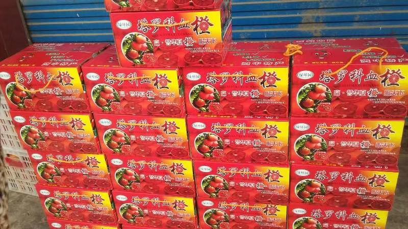资中橙子塔罗科血橙皮薄无籽化渣甜蜜水分充足专业诚信视频看