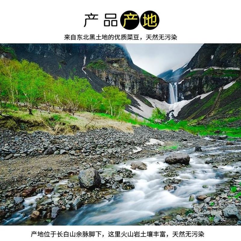 东北特产豆角速冻黄豆角黄金勾豆角一件代发全国包邮