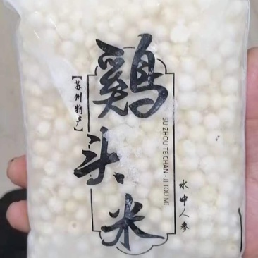 鸡头米，新鲜鸡头米，