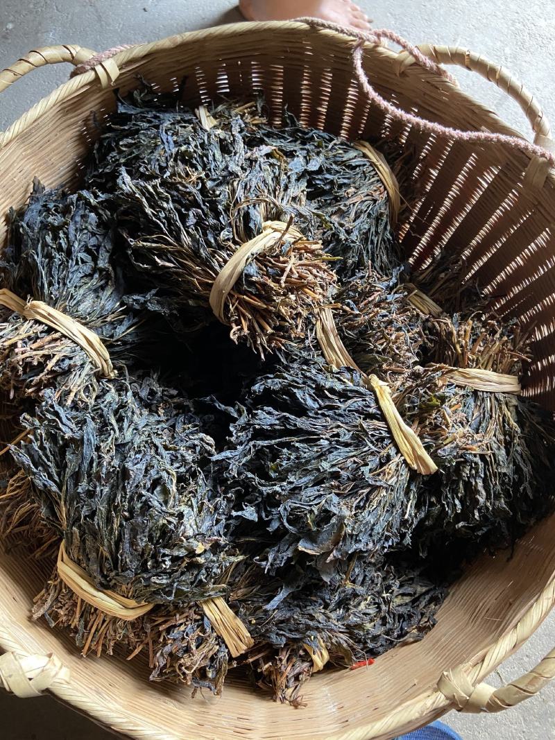 苦斋婆，苦斋菜，苦菜，野菜，瑶山天然野菜，