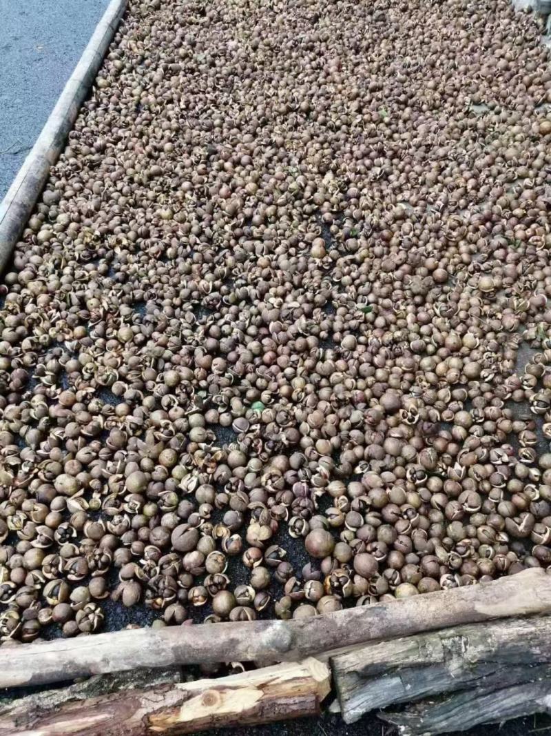 野生山茶油，纯物理压榨，出油量少，一年一季