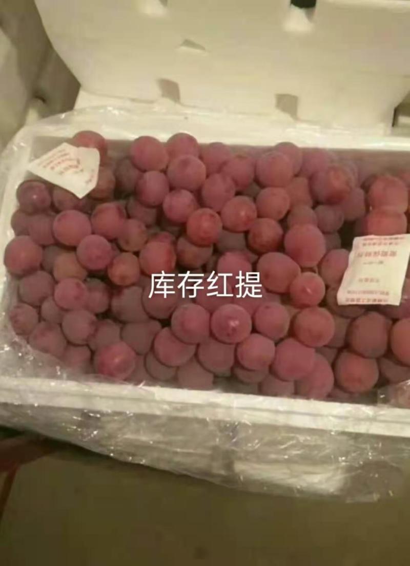 【葡萄红提】葡萄货源充足，产地直供，欢迎咨询