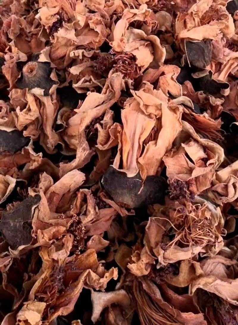 木棉花【包邮】三斤起发货可批量可零售量大从优