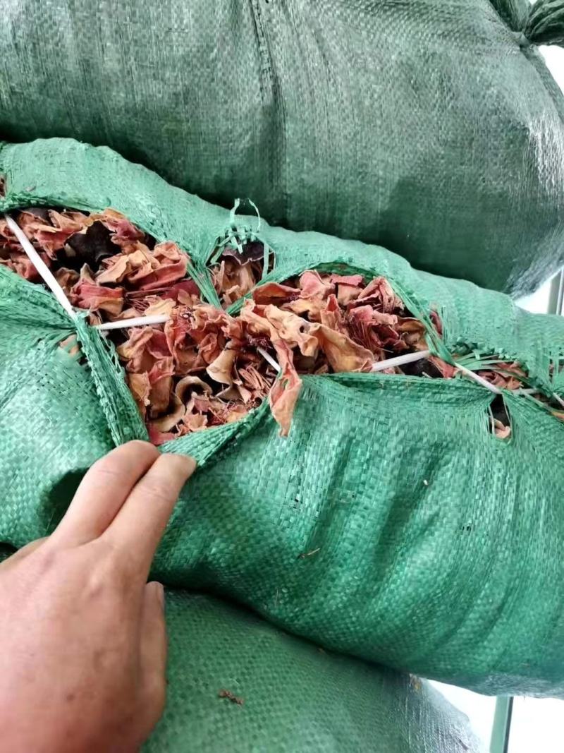 木棉花【包邮】三斤起发货可批量可零售量大从优