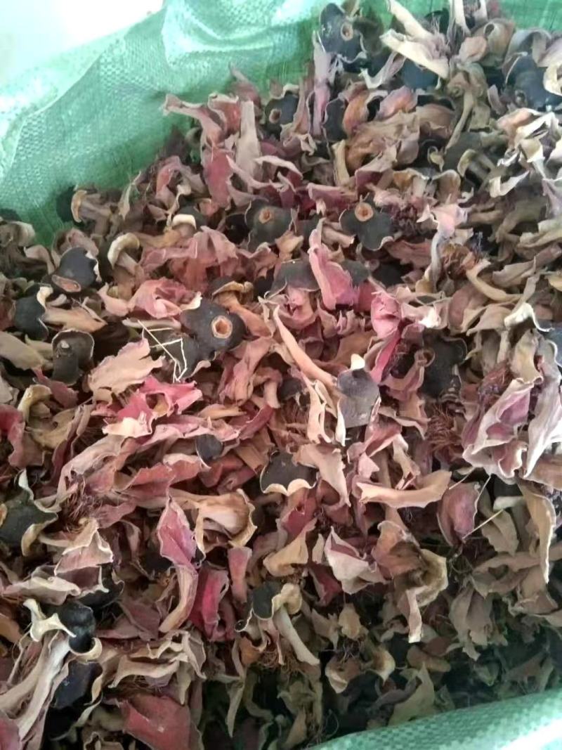 木棉花【包邮】三斤起发货可批量可零售量大从优