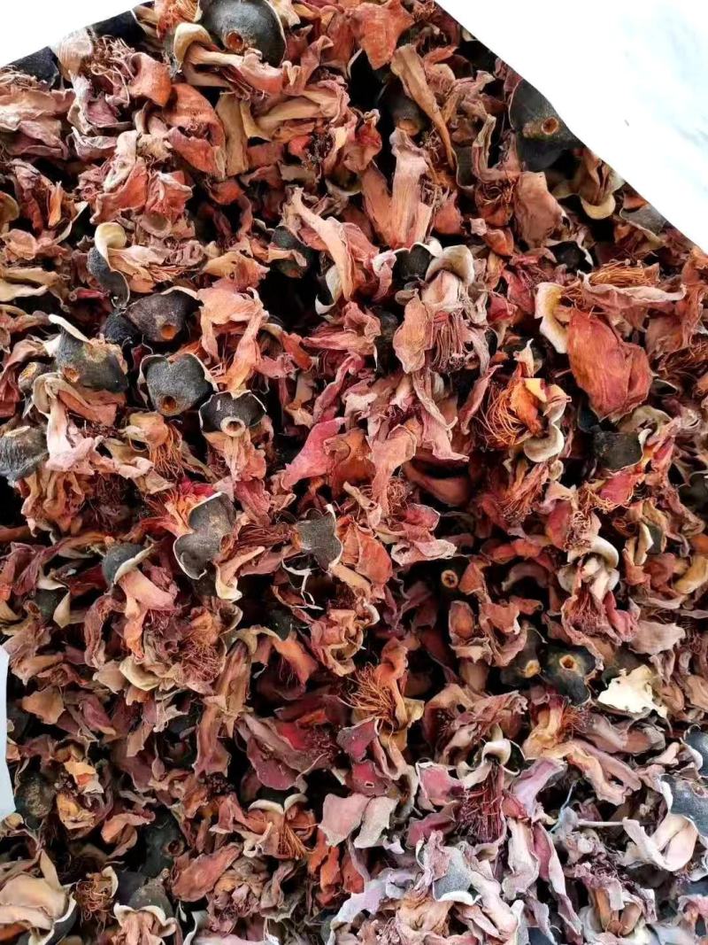 木棉花【包邮】三斤起发货可批量可零售量大从优