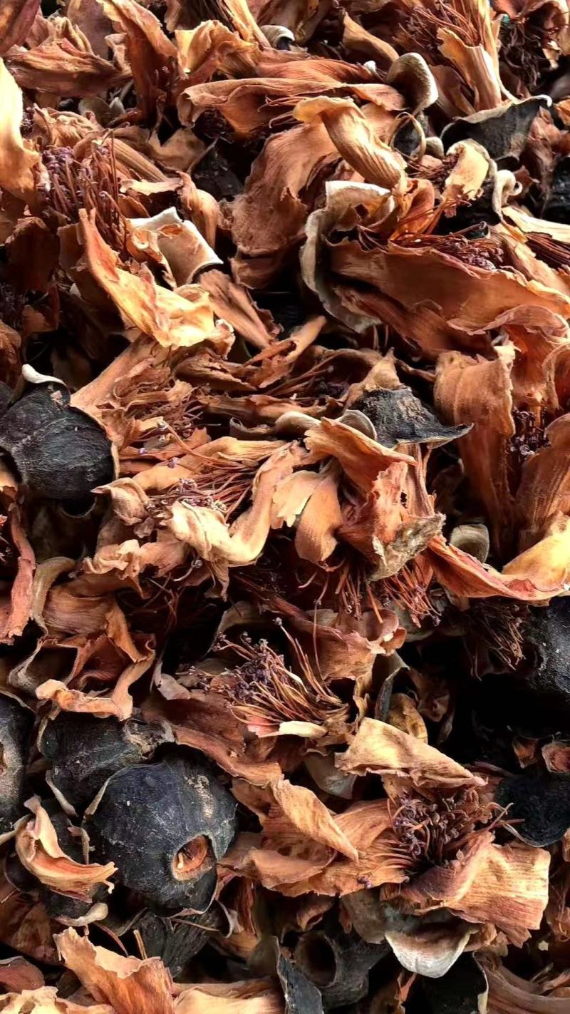 木棉花【包邮】三斤起发货可批量可零售量大从优