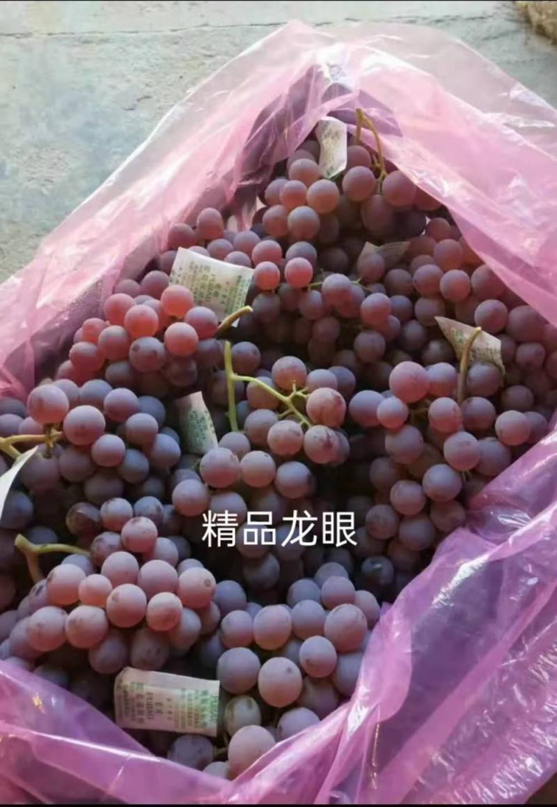 《龙眼葡萄》大量上市欢迎各位老板前来洽谈