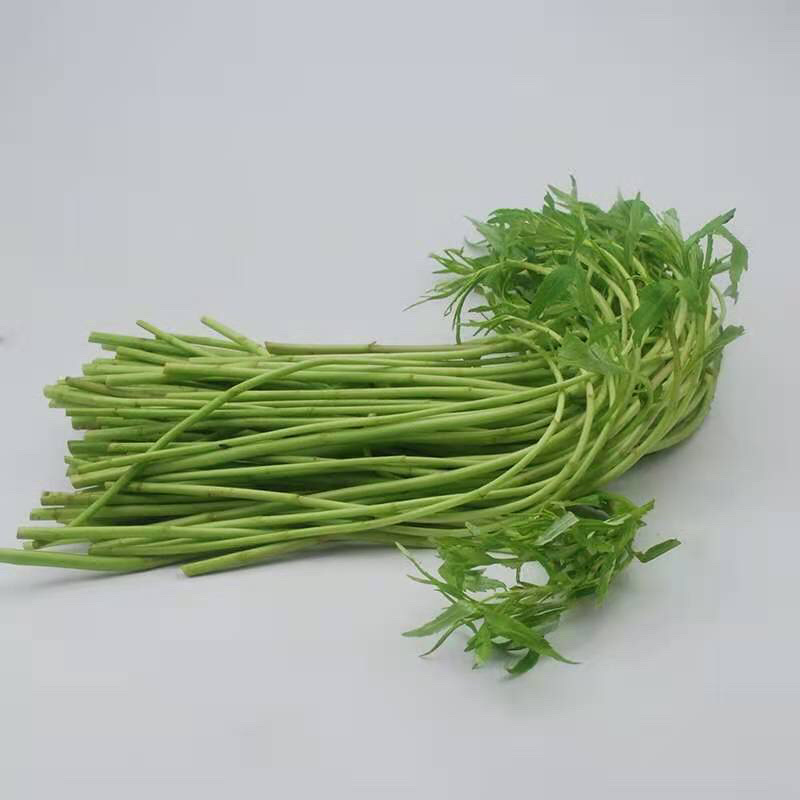湖北批发芦蒿2026新鲜泥蒿现摘现发