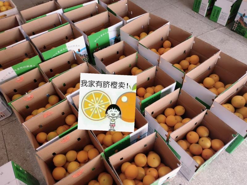 正宗赣南脐橙带叶果支持微商网商10斤装20一件代发