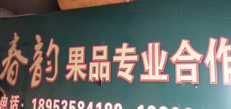 栖霞苹果正宗有机苹果，产地直供！