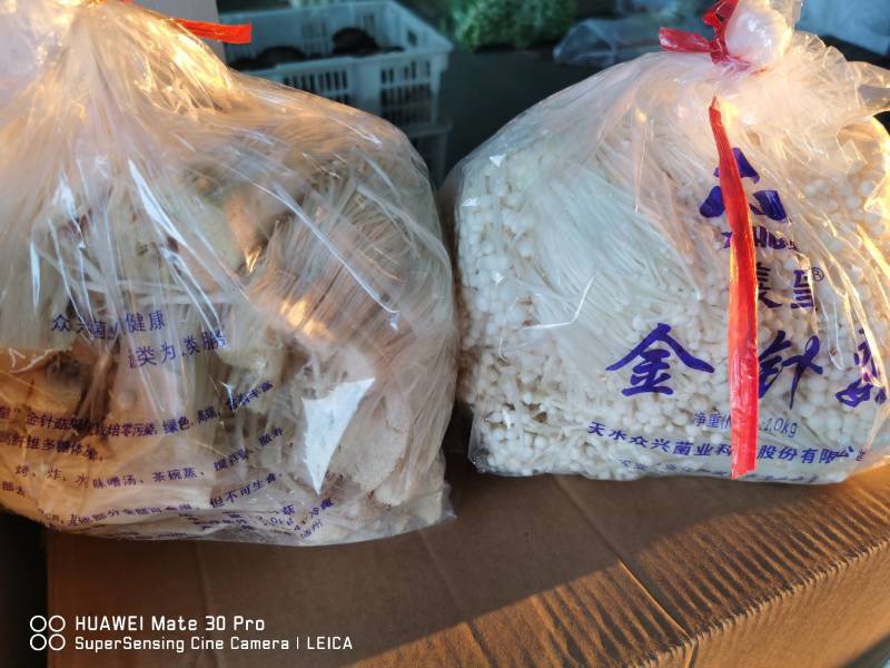 各种新鲜蔬菜菌菇代销欢迎致电洽谈