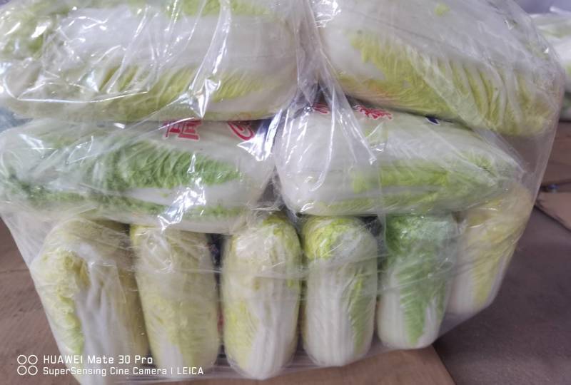 各种新鲜蔬菜菌菇代销欢迎致电洽谈