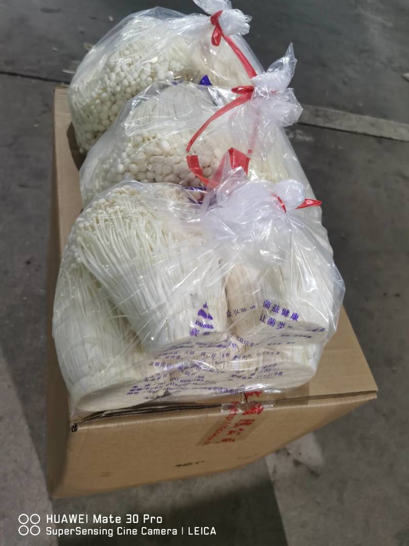 各种新鲜蔬菜菌菇代销欢迎致电洽谈