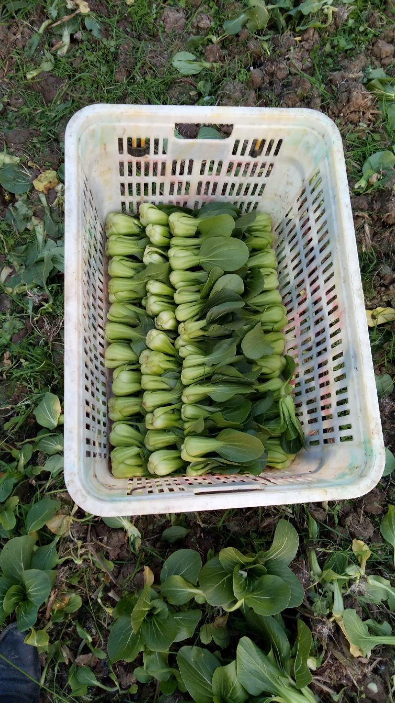 诚信交易，诚信求生存！