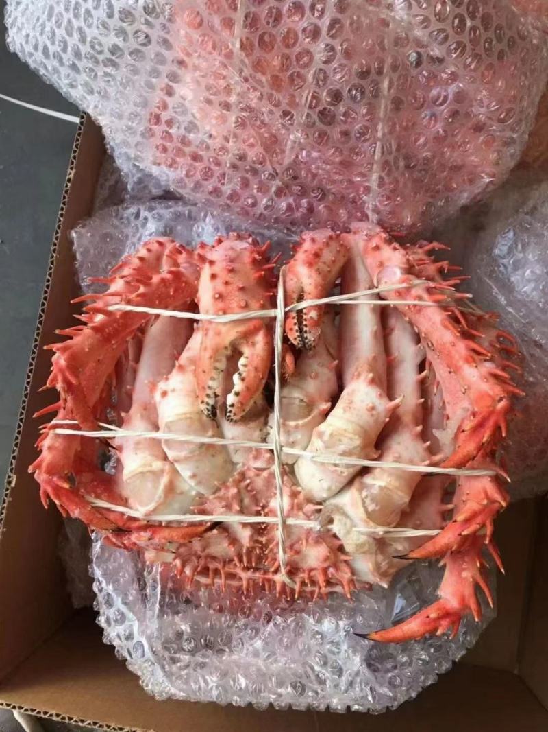 帝王蟹大量到货手续提全