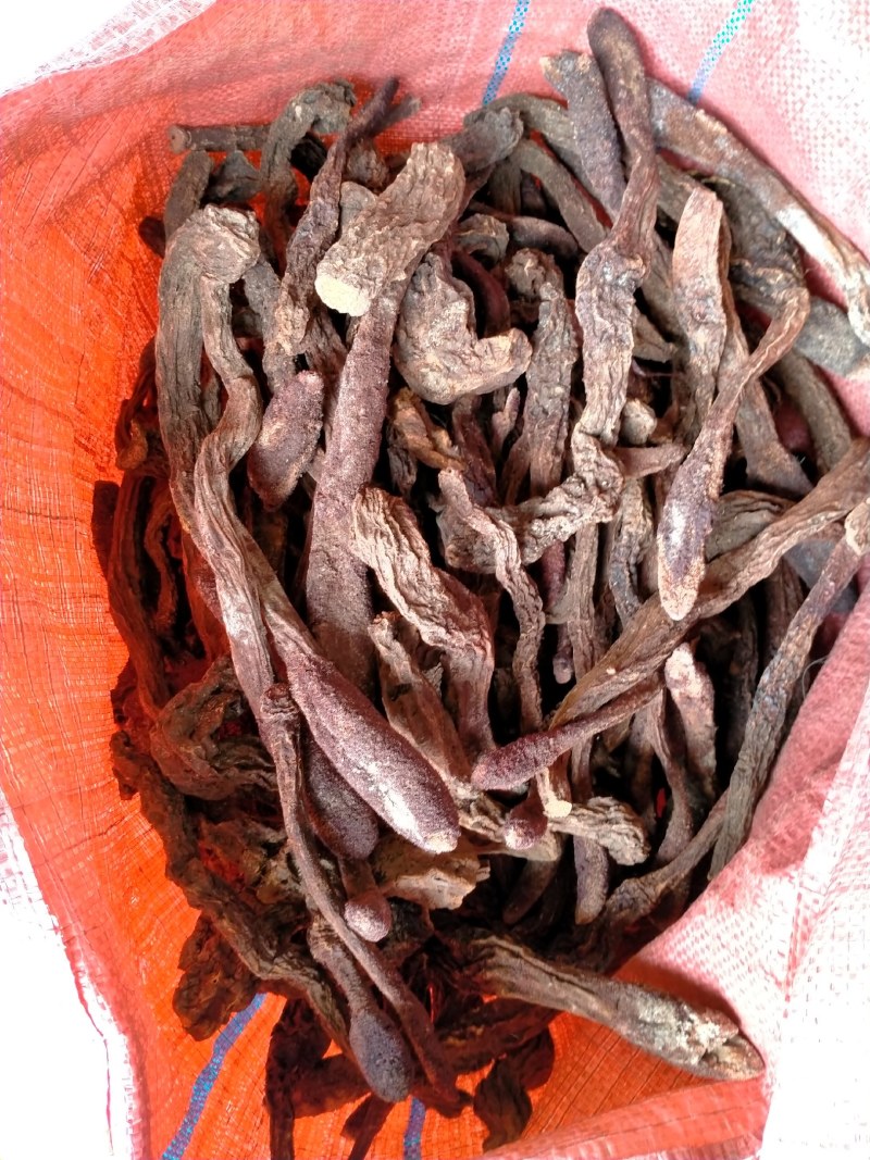 中药材/中药根茎类/锁阳/锁阳选货/锁阳统货/长期供应