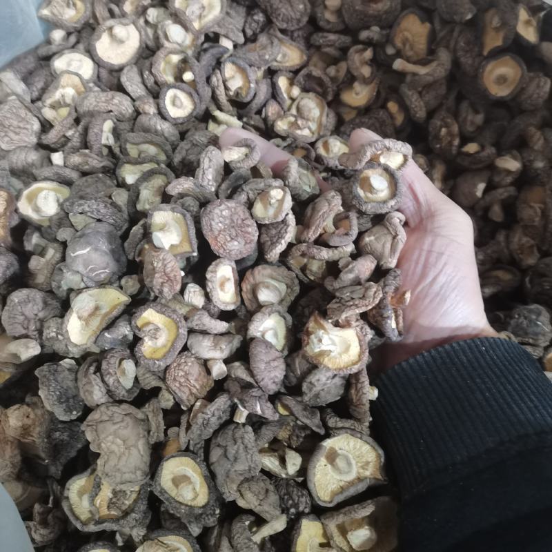 精品干茶花菇干麻花菇干香菇小香菇2—3公分3—4公分