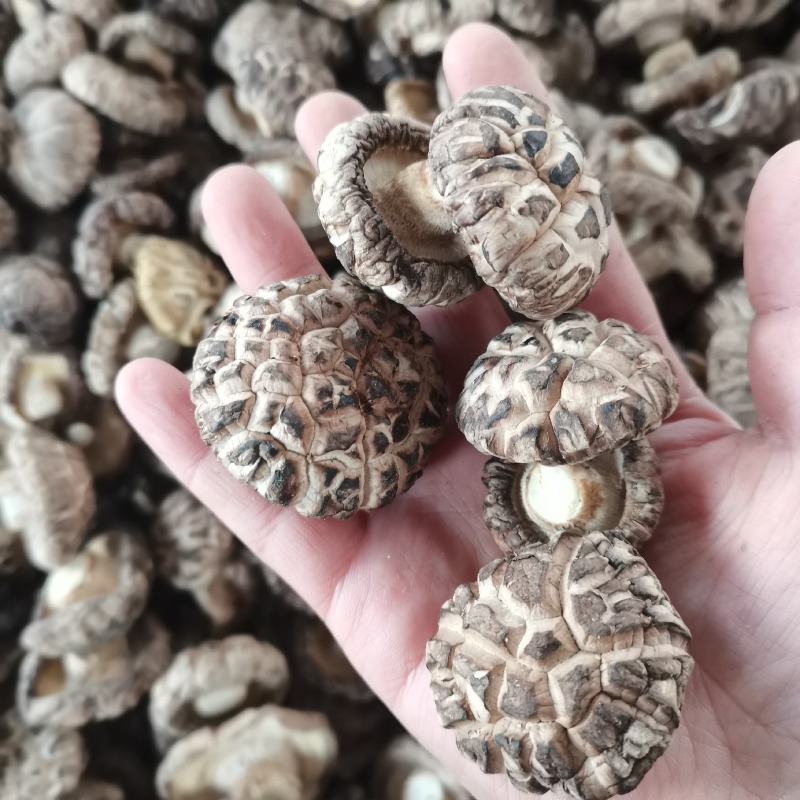 精品干茶花菇干麻花菇干香菇小香菇2—3公分3—4公分