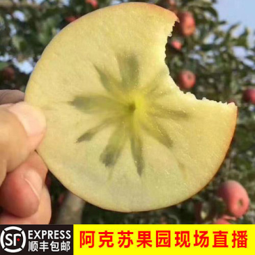 阿克苏冰糖心红富士苹果产地直发，支持一件代发，欢迎品尝