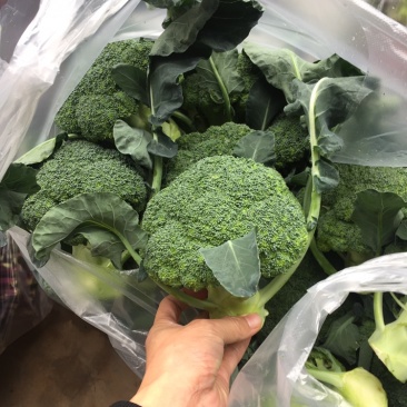 西蓝花现货湖北西蓝花大量上市产地直发可视频看货