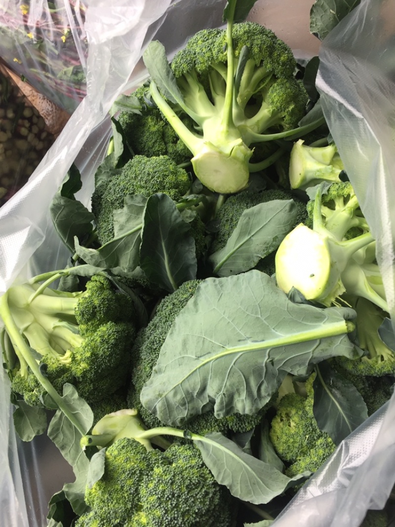 西蓝花现货湖北西蓝花大量上市产地直发可视频看货
