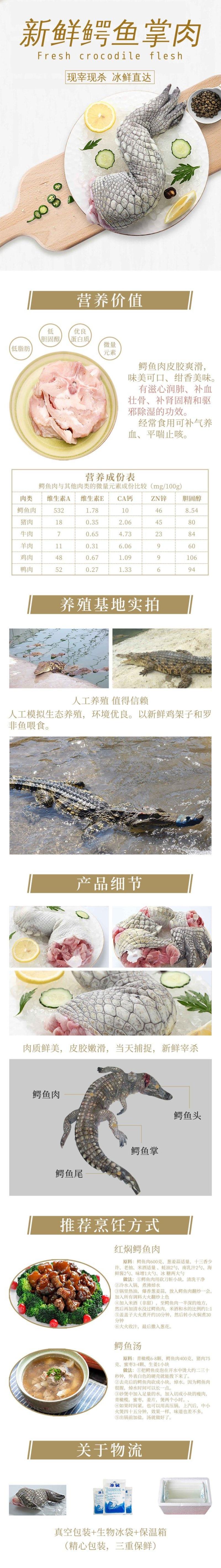 新鲜鳄鱼掌，富含丰富的胶原蛋白
