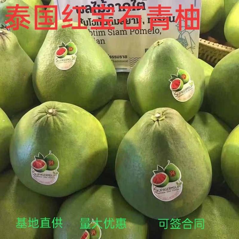 泰国红宝石青柚枝条.基地直供.母树现场剪.质量保证