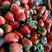 奶油草莓，宁玉妙香，量大质优，电商平台社区团购