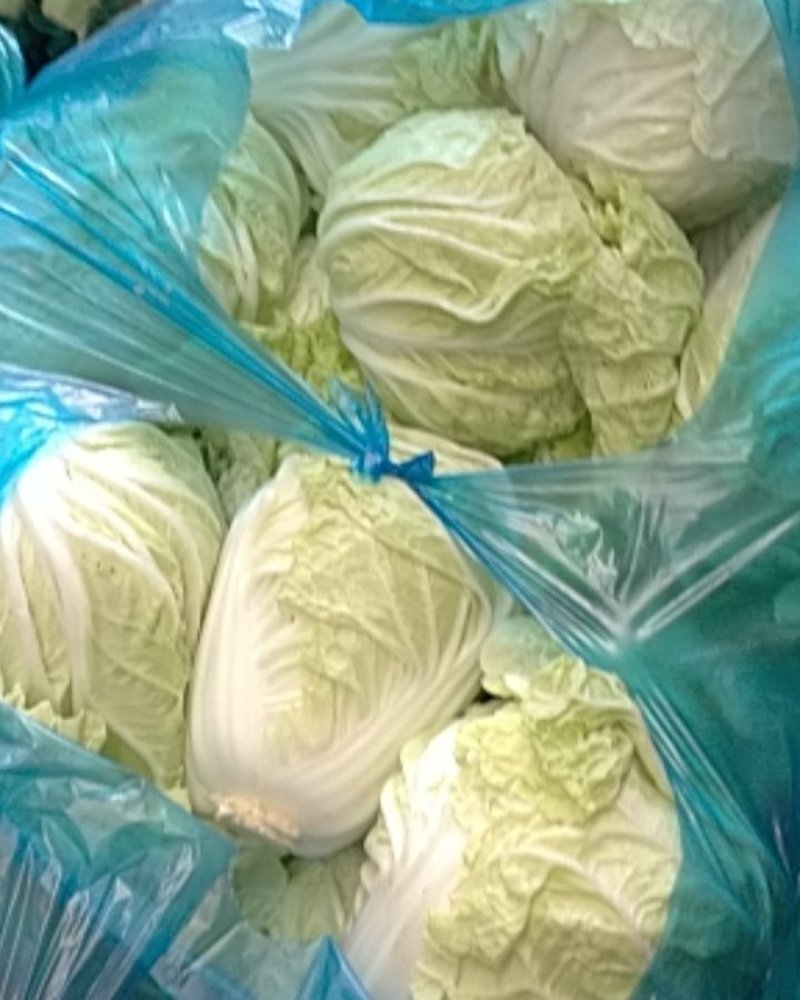 安徽产地直供精品夏阳白白菜水分好新鲜服务好大量批发价低