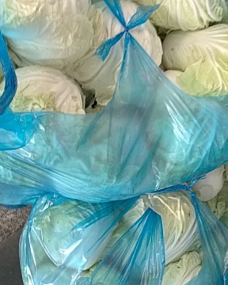 安徽产地直供精品夏阳白白菜水分好新鲜服务好大量批发价低