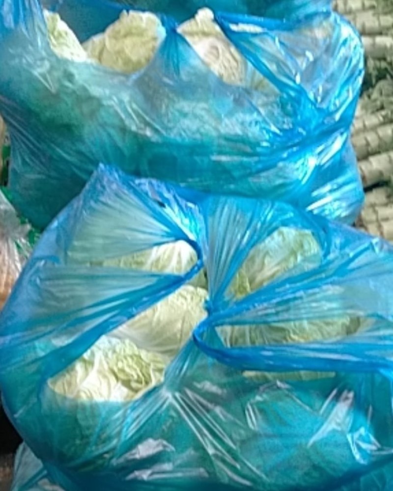 安徽产地直供精品夏阳白白菜水分好新鲜服务好大量批发价低