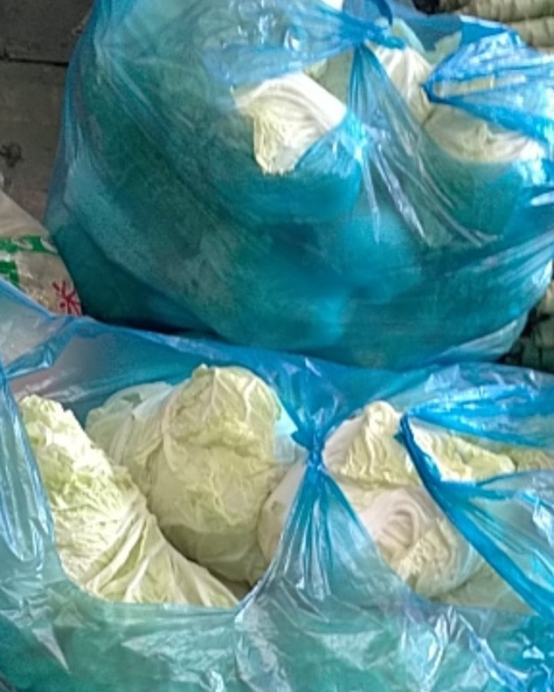 安徽产地直供精品夏阳白白菜水分好新鲜服务好大量批发价低