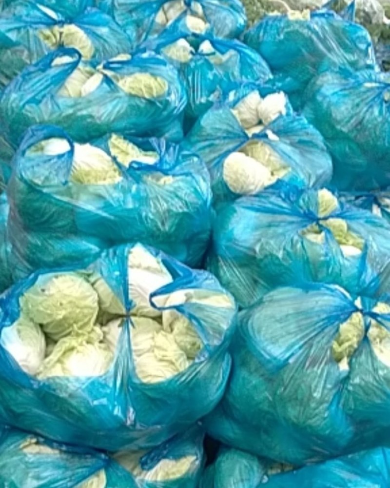 安徽产地直供精品夏阳白白菜水分好新鲜服务好大量批发价低