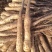新挖山药苗白玉山药种苗山药原种无激素山药苗