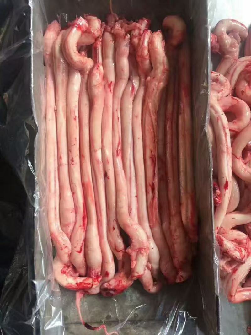 烧烤必备羊鞭新鲜的，