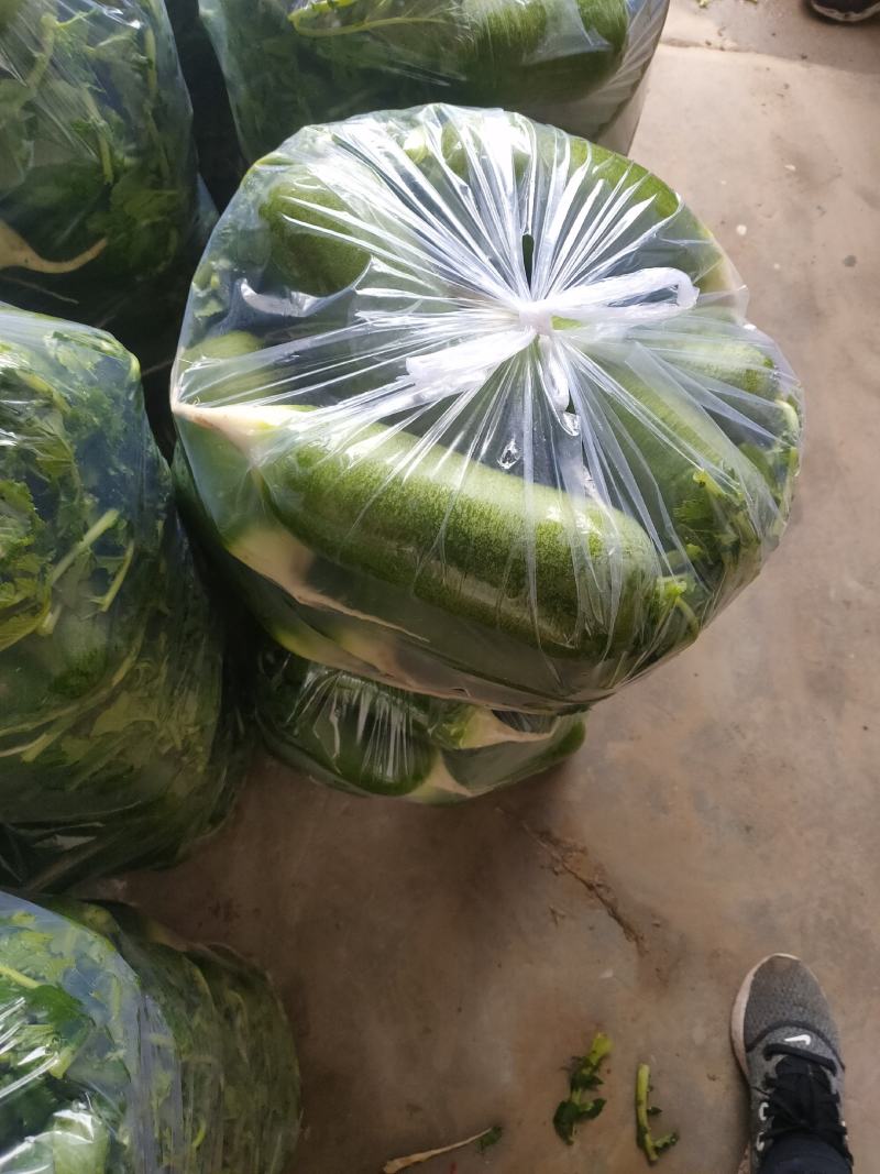水果萝卜，精品水果萝卜，万亩蔬菜