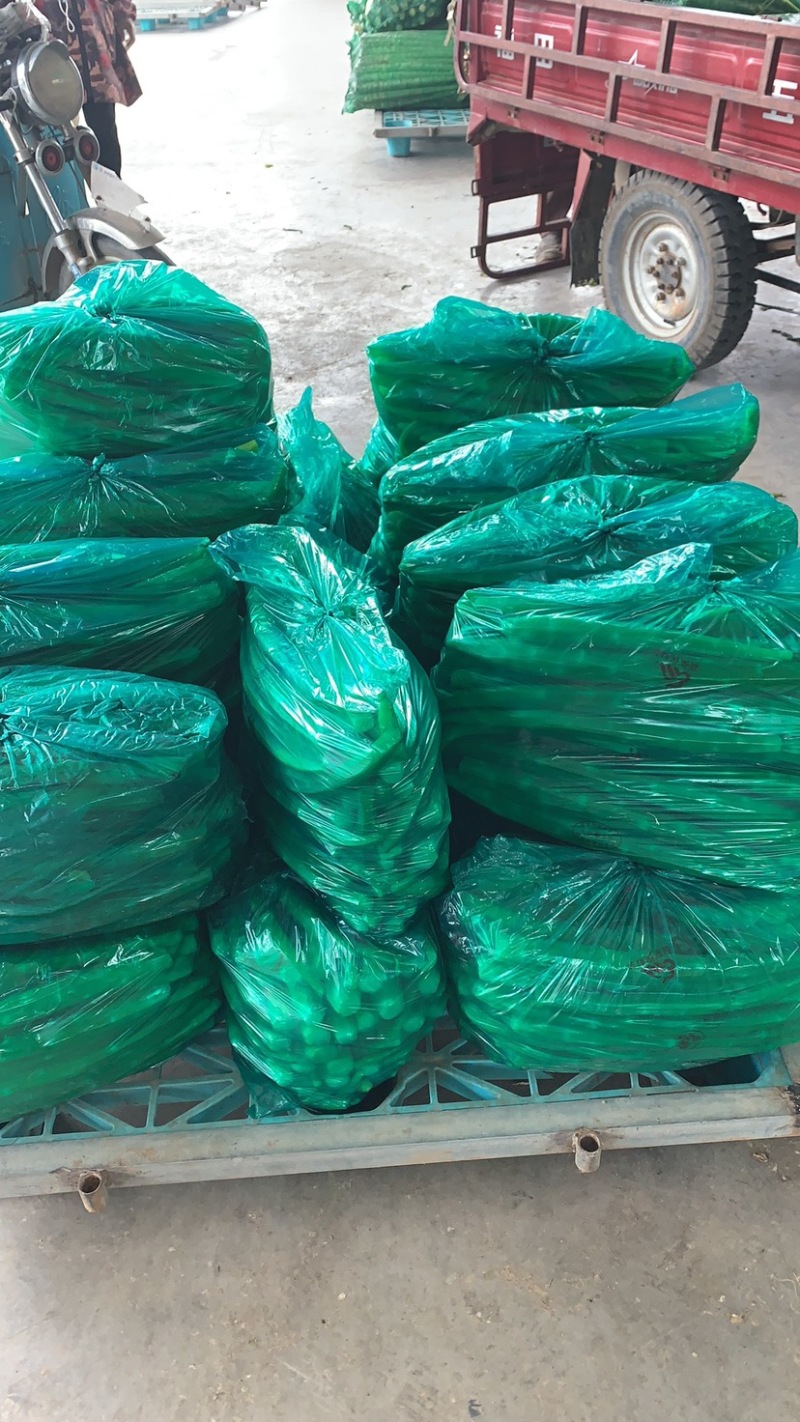 优质精品，莴苣肉大量上市，需要的请联系，确淡