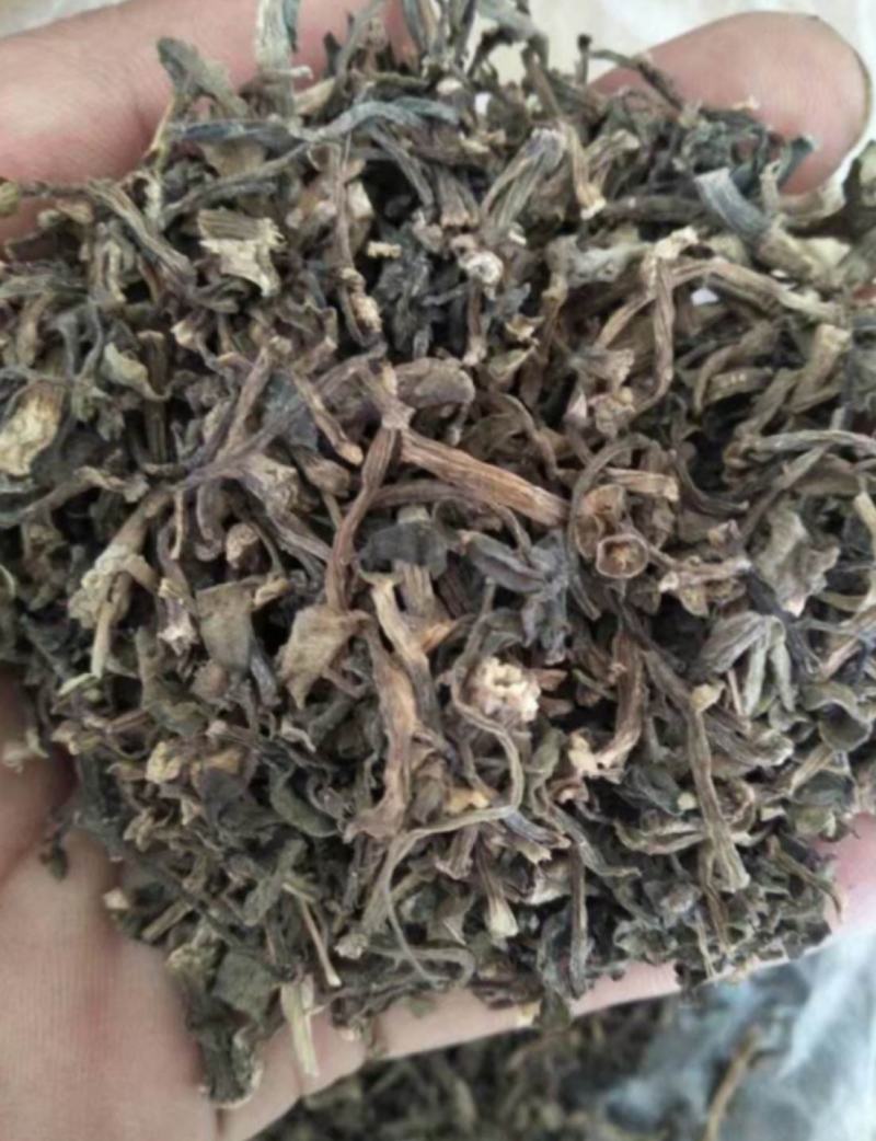 振兴药材批发马齿笕散装产地山东马齿笕中草药